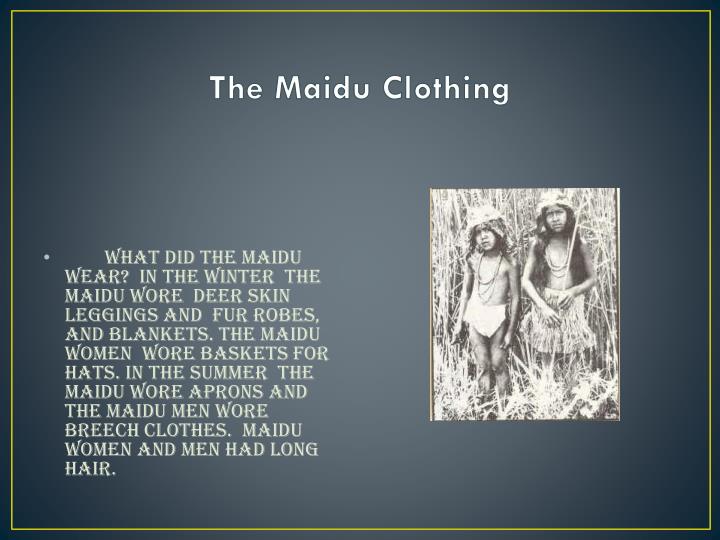 PPT - The Maidu A California Native American Tribe PowerPoint ...