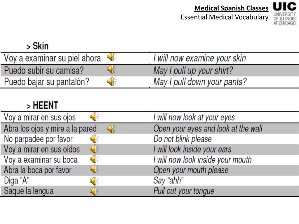 PPT Medical Spanish Classes Essential Medical Vocabulary PowerPoint