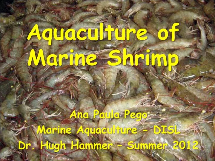 Aquaponics ppt 