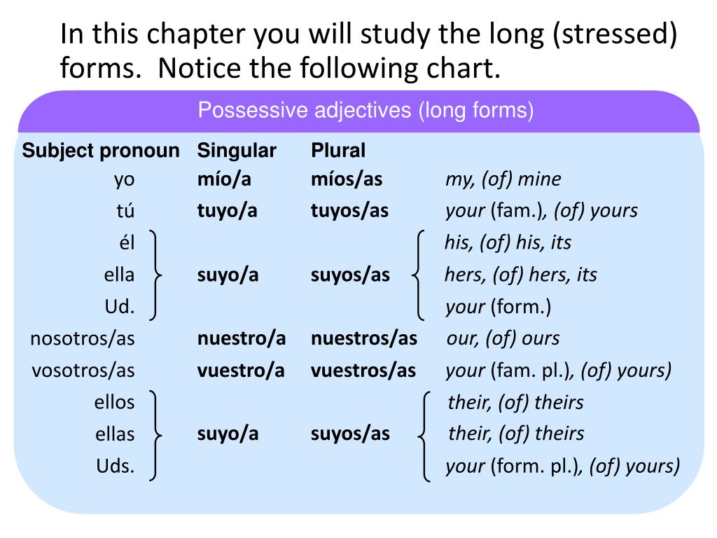Long Form Possessive Adjectives Worksheet