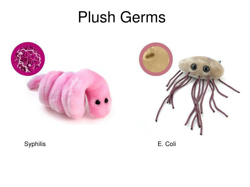 plush syphilis
