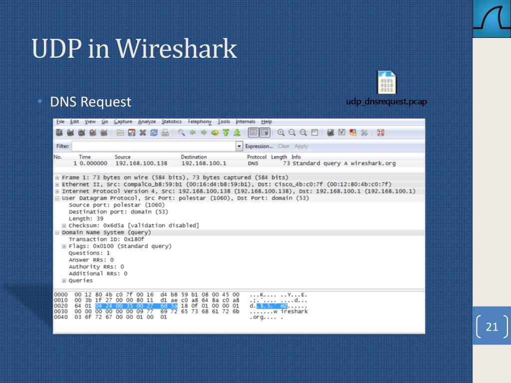 wireshark filter dns request