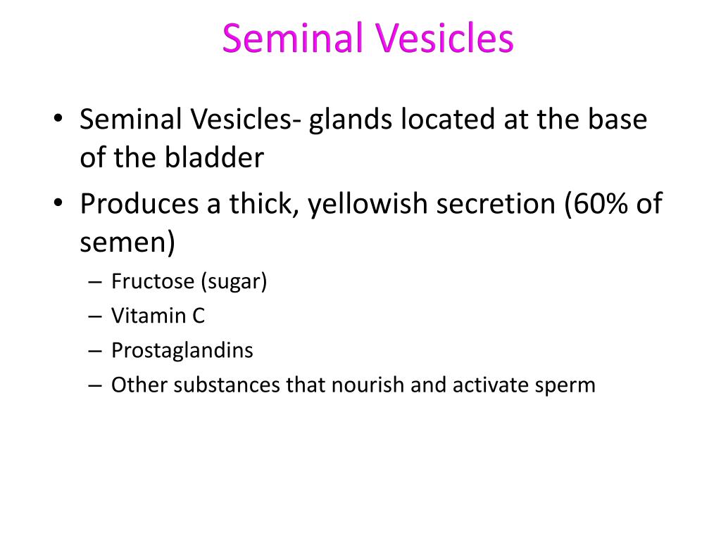 Ppt Reproductive Strategies Male Reproductive System Powerpoint Presentation Id 2052515