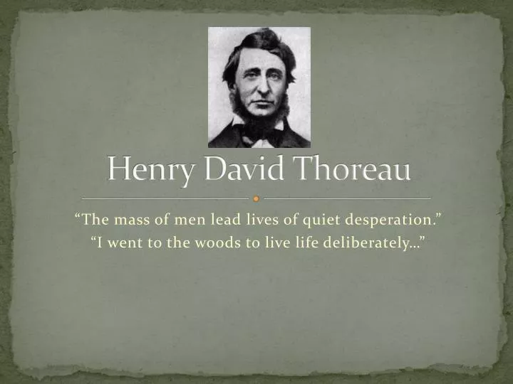 Реферат: Comparison Between Henery David Threau And Herman