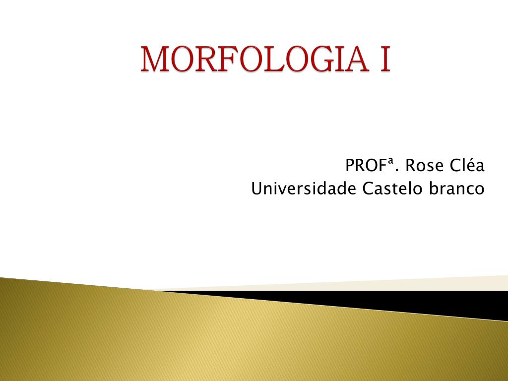 3. morfologia