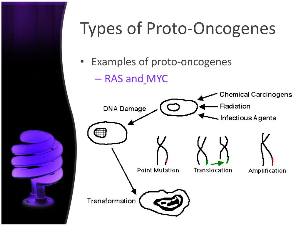 Neoplasia PowerPoint Presentation, free download Biology Diagrams