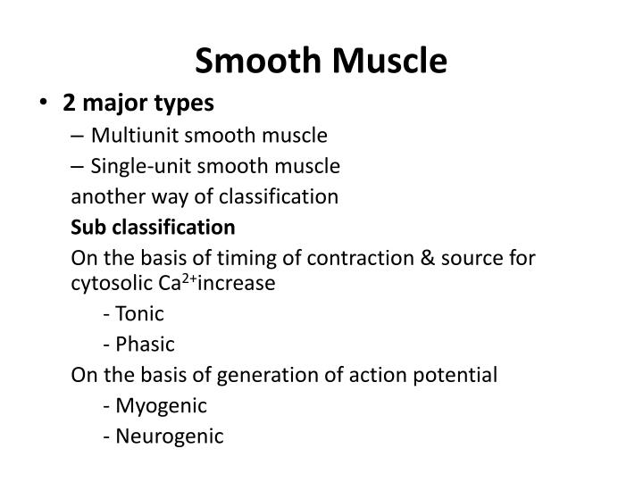 PPT - SMOOTH MUSCLES PowerPoint Presentation - ID:2053356