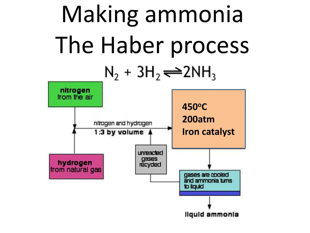 PPT - Making ammonia The Haber process PowerPoint Presentation, free