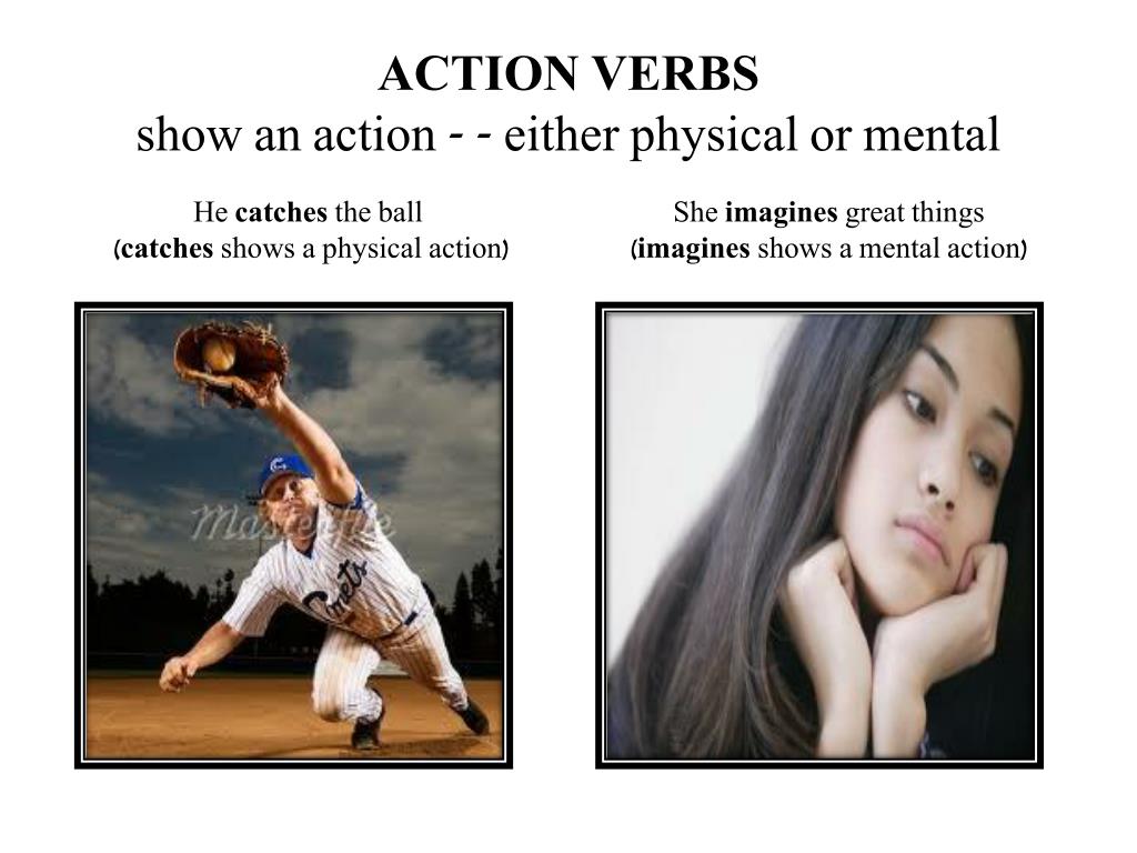 Mental Or Physical Action Verbs Worksheet Answer Key