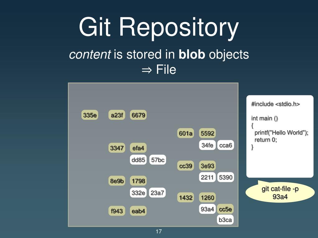 Git Repository.