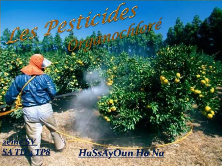 PPT - Les Pesticides PowerPoint Presentation, Free Download - ID:2054509