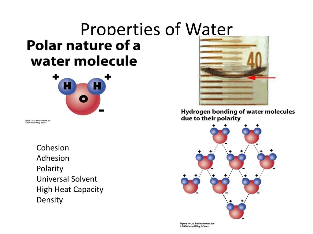 assignment of properties of water