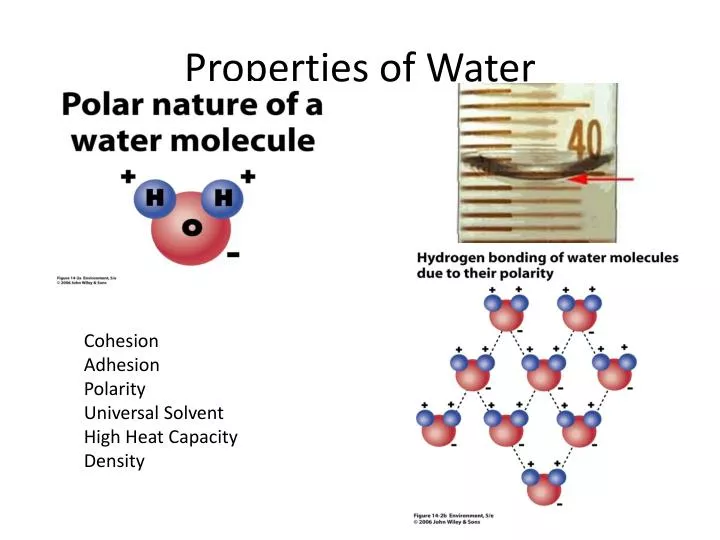 properties of water n.