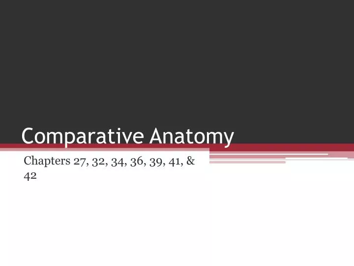 comparative anatomy n.