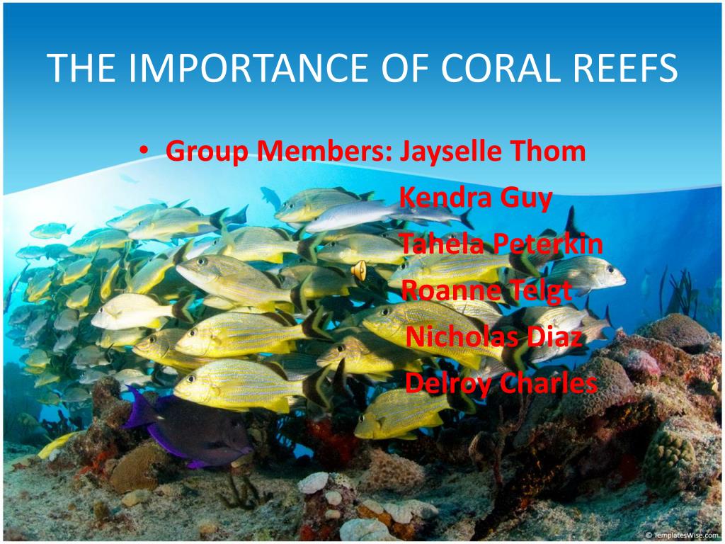 importance of coral reefs research paper