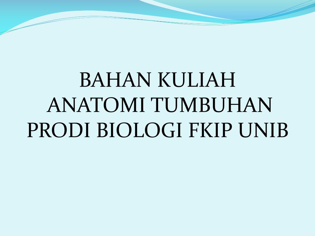 Ppt Bahan Kuliah Anatomi Tumbuhan Prodi Biologi Fkip Unib Powerpoint Presentation Id 2055770