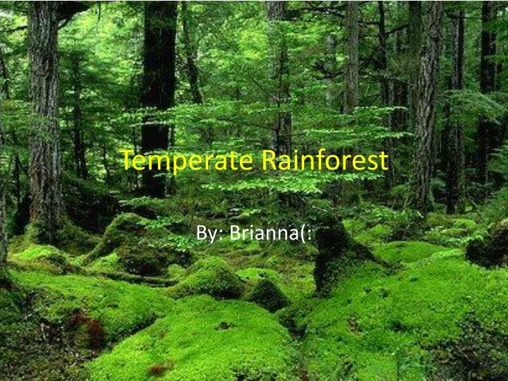 a look at the three basic types of temperate broadleaf forests a look at the three basic types of temperate broadleaf forests