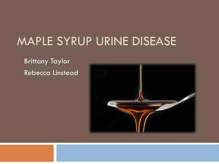 PPT Maple Syrup Urine Disease PowerPoint Presentation, free download