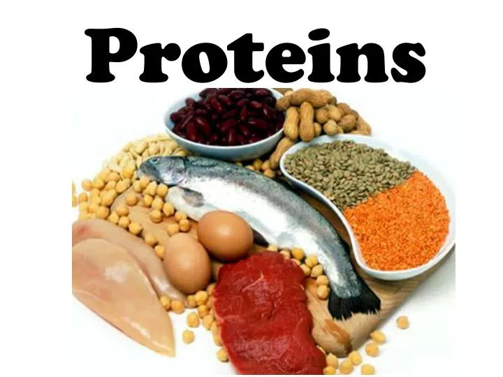 PPT Proteins PowerPoint Presentation Free Download ID 2058626