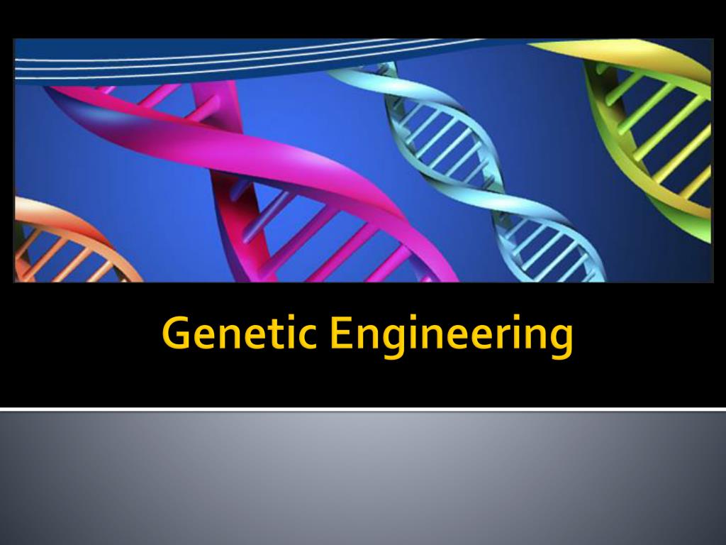 genetic engineering presentation