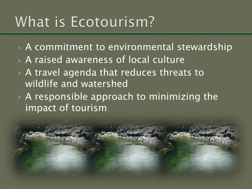 eco tour meaning