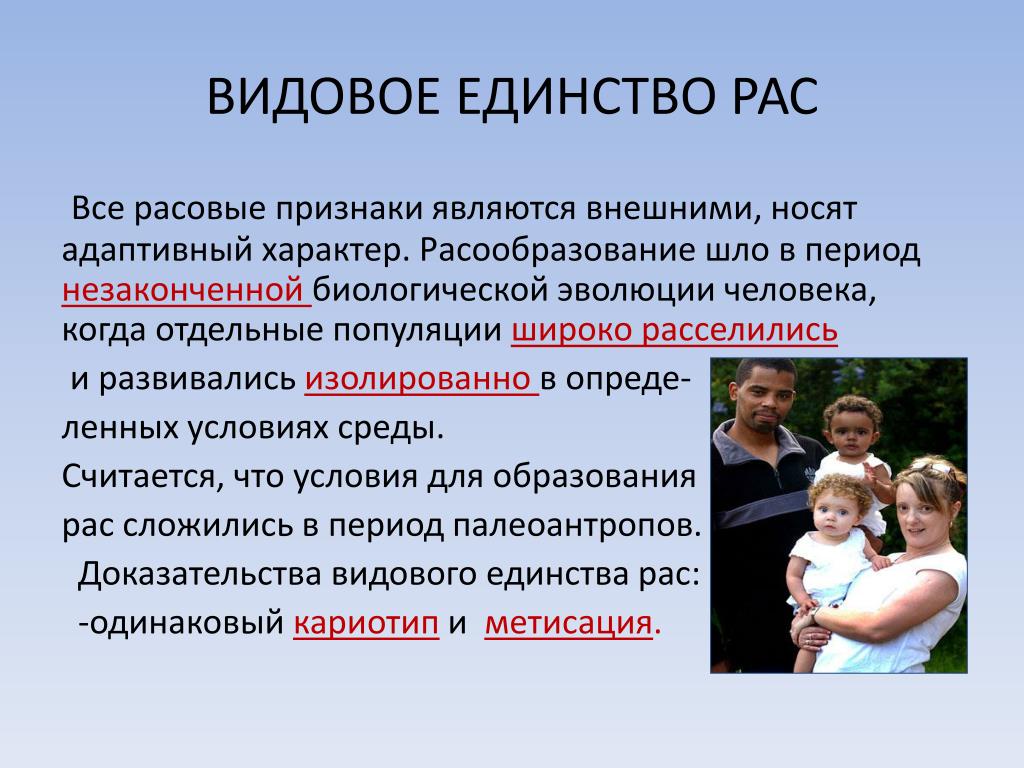 Презентация родство и единство происхождения человеческих рас