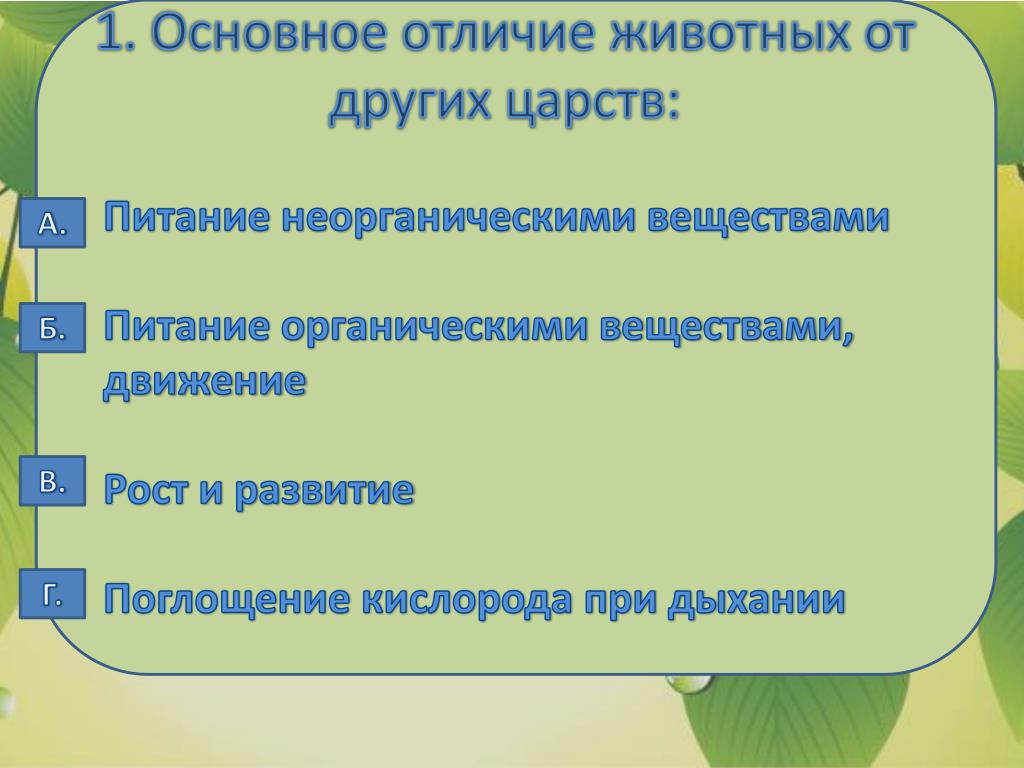 Питание неорганическими веществами. Отличие животных от других Царств. Питаются неорганическими веществами. Животные питаются неорганическими веществами. Питаются неорганическими веществами представители царства.