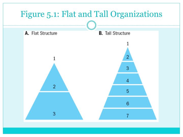 Tall Hierarchy Structure