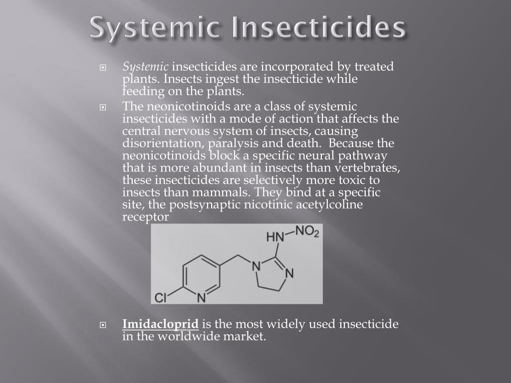 Systemic Insecticide Examples PPT - 270192 VO Umweltchemie Sommersemester 2013 PowerPoint ...