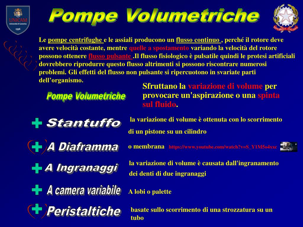 PPT - UNIVERSITA ' DI CAMERINO CORSO P. A. S. C320 PowerPoint Presentation  - ID:2061359