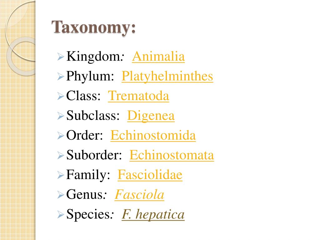 fascioliasis taxonómia székletszag a száj onkológiájából