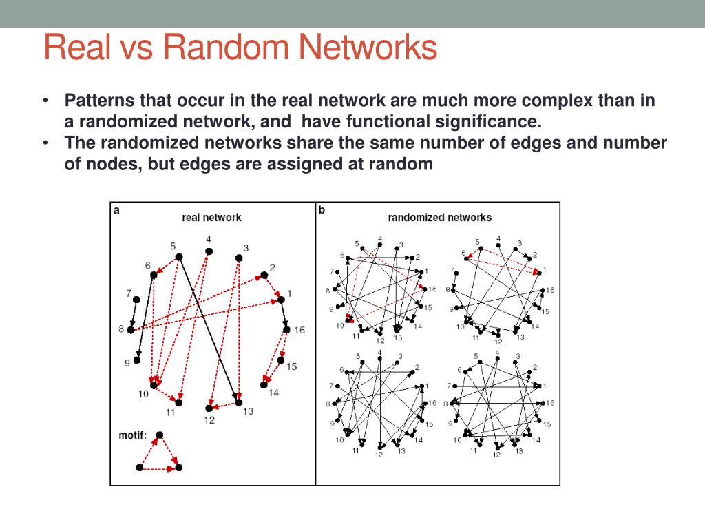 Real Versus Random PPT - G.Balázsi, A.L.Barabási, and Z.N.Oltvai PowerPoint Presentation ...