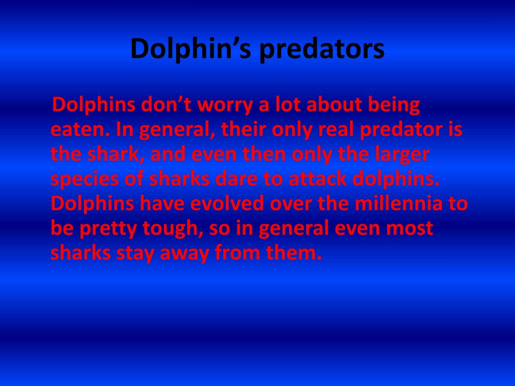PPT - Dolphin's Habitat PowerPoint Presentation, free download - ID:2062211