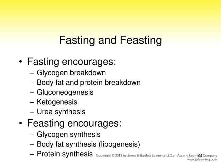 fasting feasting analysis Passage from fasting, feasting the assigned passage is taken from fasting, feasting, a novel published in 1999 by indian novelist anita desai. fasting feasting analysis Passage from fasting, feasting the assigned passage is taken from fasting, feasting, a novel published in 1999 by indian novelist anita desai.