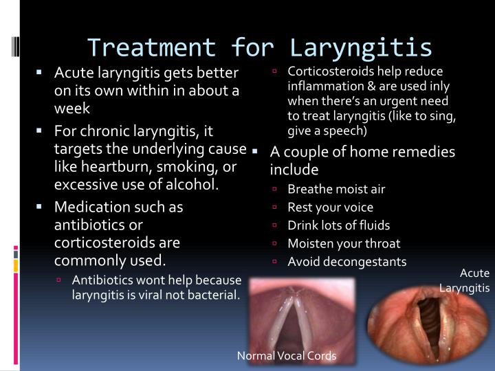 PPT Laryngitis & Epiglottitis PowerPoint Presentation ID2062887