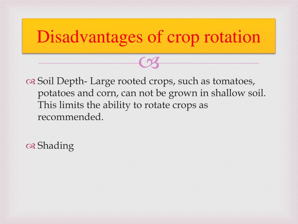 What is Crop Rotation - Importance, Advantages and Disadvantages