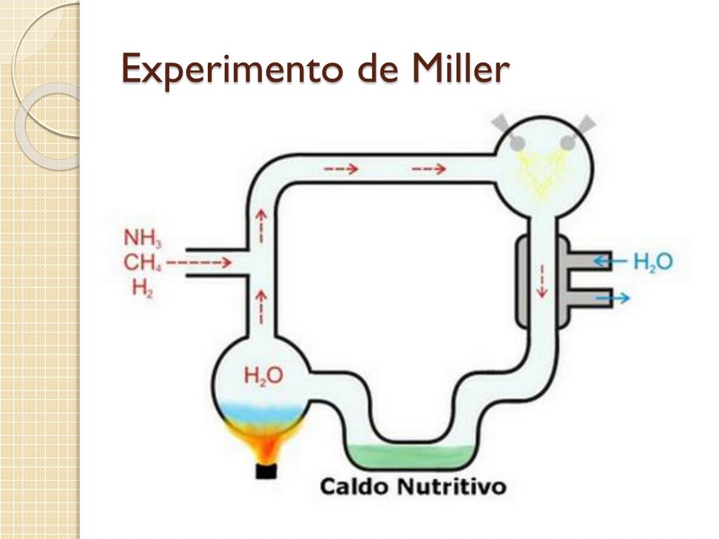 Experimento De Miller Resumo - ICTEDU