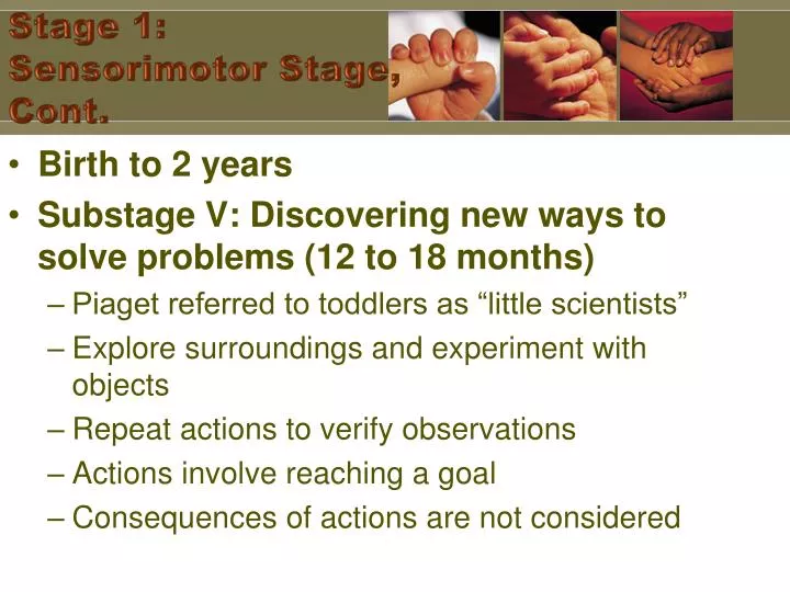 stage 1 sensorimotor stage cont n.