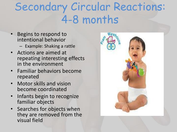 tertiary circular reactions examples