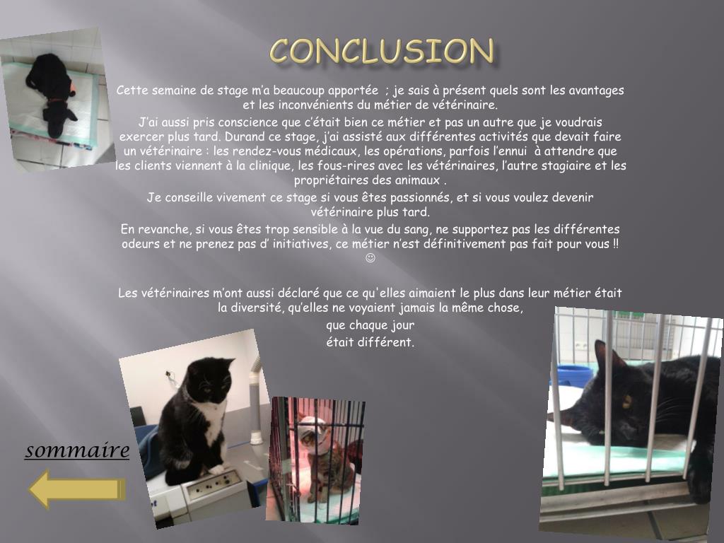 PPT - Rapport de stage PowerPoint Presentation, free download - ID:2063668