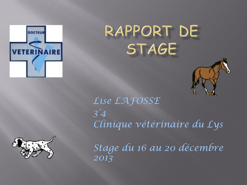 faire un stage chez un veterinaire