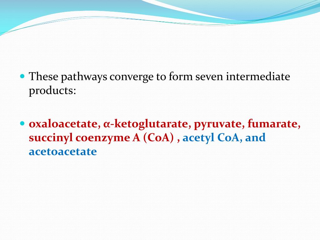 PPT GLUCOGENIC & KETOGENIC AMINO ACIDS PowerPoint Presentation ID