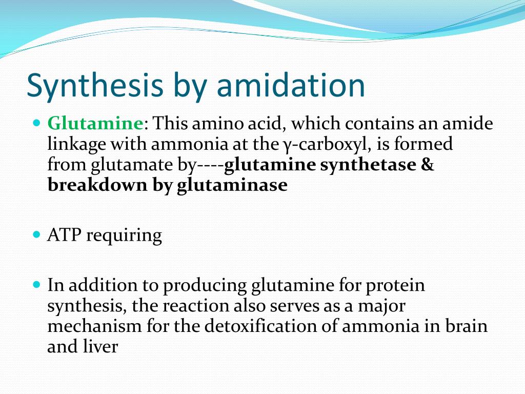 PPT GLUCOGENIC & KETOGENIC AMINO ACIDS PowerPoint Presentation ID