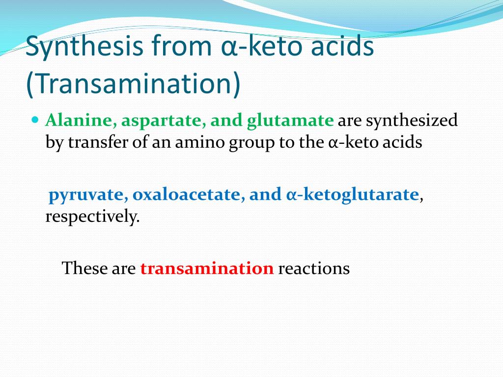 PPT GLUCOGENIC & KETOGENIC AMINO ACIDS PowerPoint Presentation ID