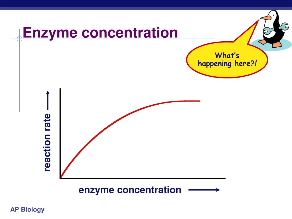 what is enzyme concentration