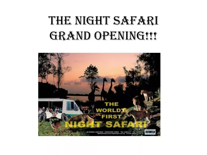 the night safari grand opening n.