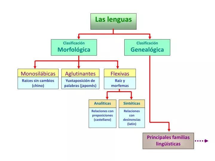 PPT - Las lenguas PowerPoint Presentation, free download - ID:2066456