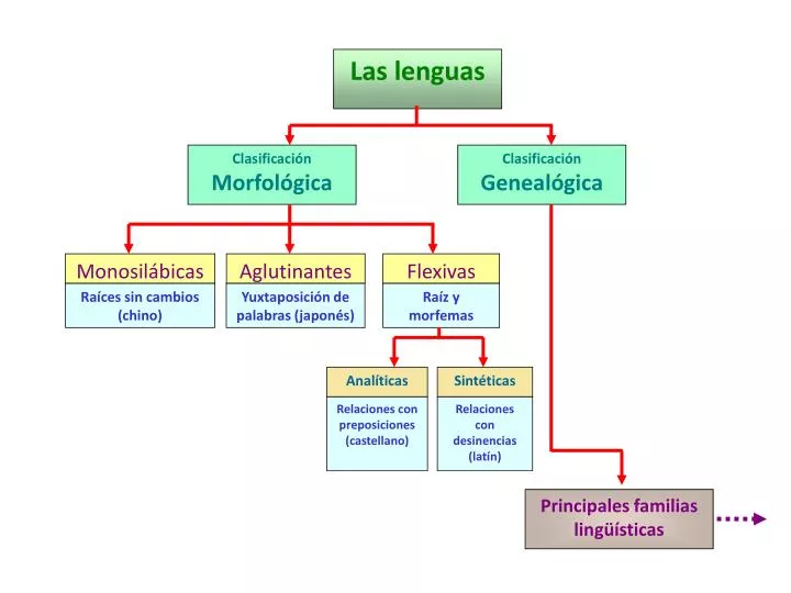 PPT Las lenguas PowerPoint Presentation ID2066456