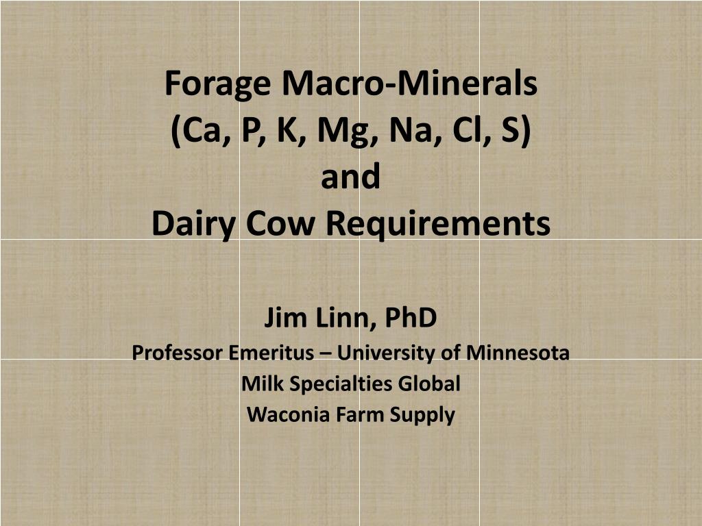On the verge Morgue repeat PPT - Forage Macro-Minerals (Ca, P, K, Mg, Na, Cl, S) and Dairy Cow  Requirements PowerPoint Presentation - ID:2066988