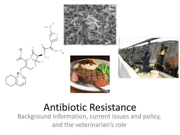 ppt-antibiotic-resistance-powerpoint-presentation-free-download-id